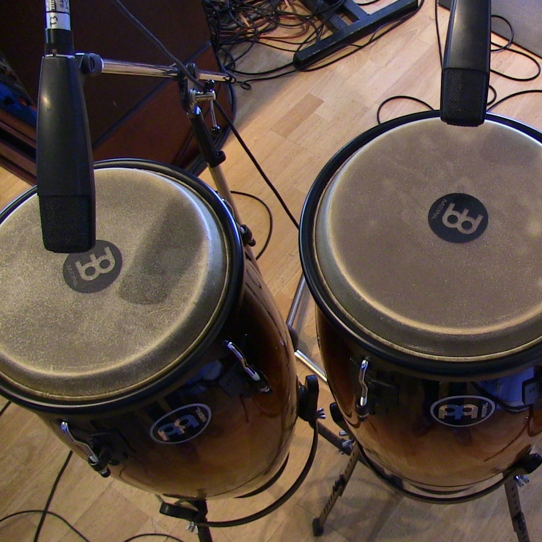  Congas 